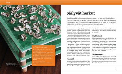 Kuivaa ruokaa (Torka mat)