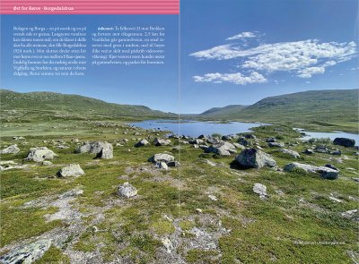 Turguide Røros: miniguide & turkart 1:50 000