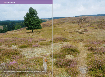 Best hiking in Sweden: Skåneleden