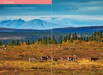 Fjällvandra kring Grövelsjön