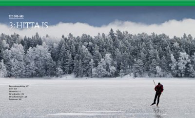 Stora boken om långfärdsskridskor