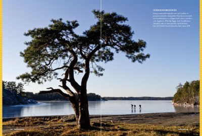 Stora boken om långfärdsskridsko