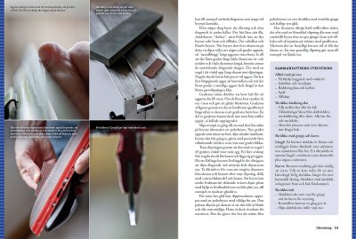 Stora boken om långfärdsskridsko